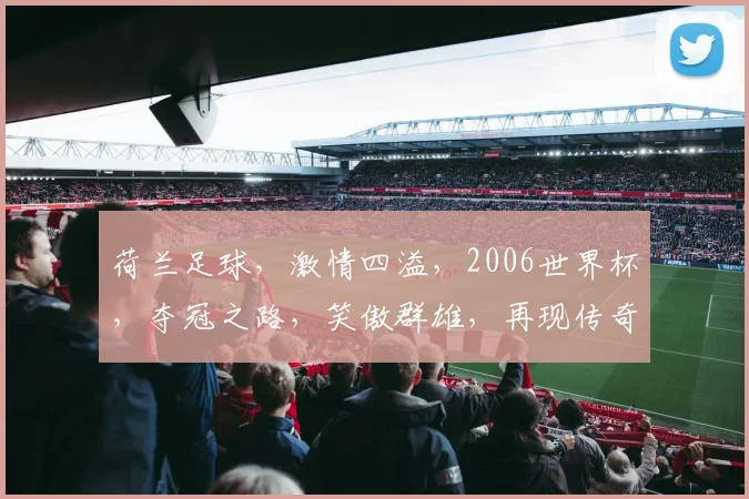 荷兰足球，激情四溢，2006世界杯，夺冠之路，笑傲群雄，再现传奇，共鉴辉煌。